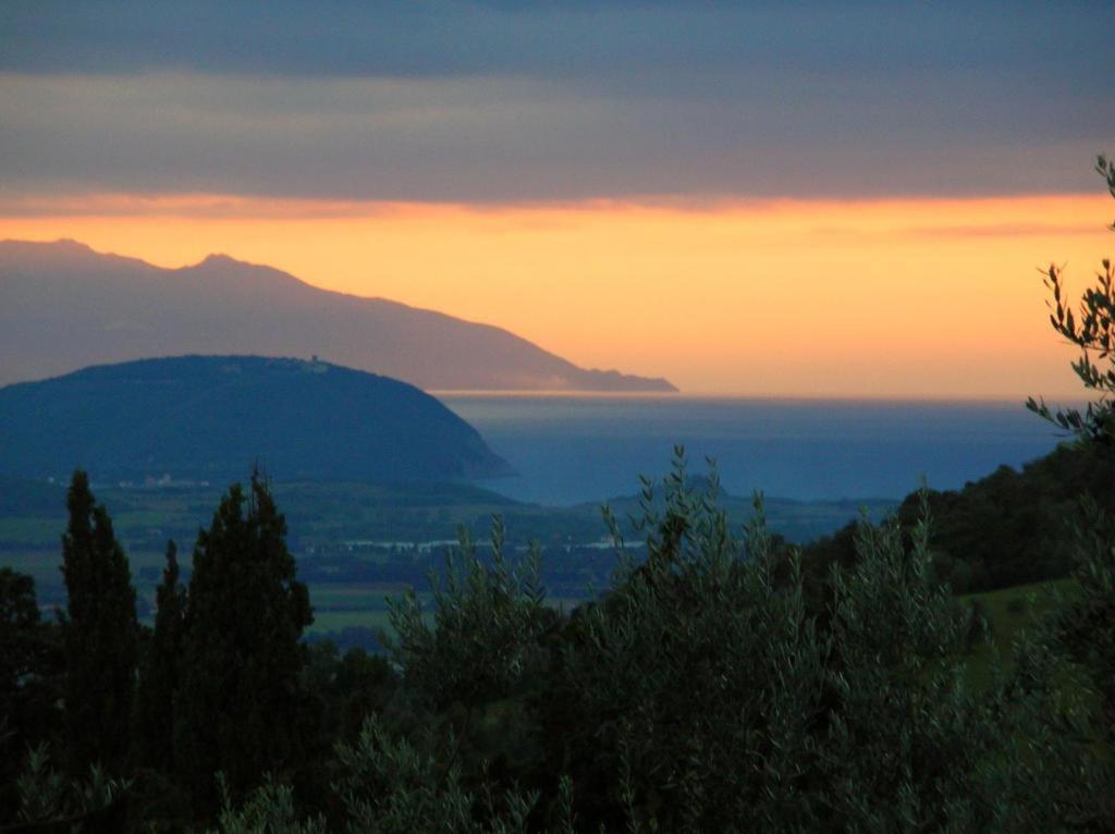 Divacamp Glamping Resort Campiglia Marittima Bagian luar foto